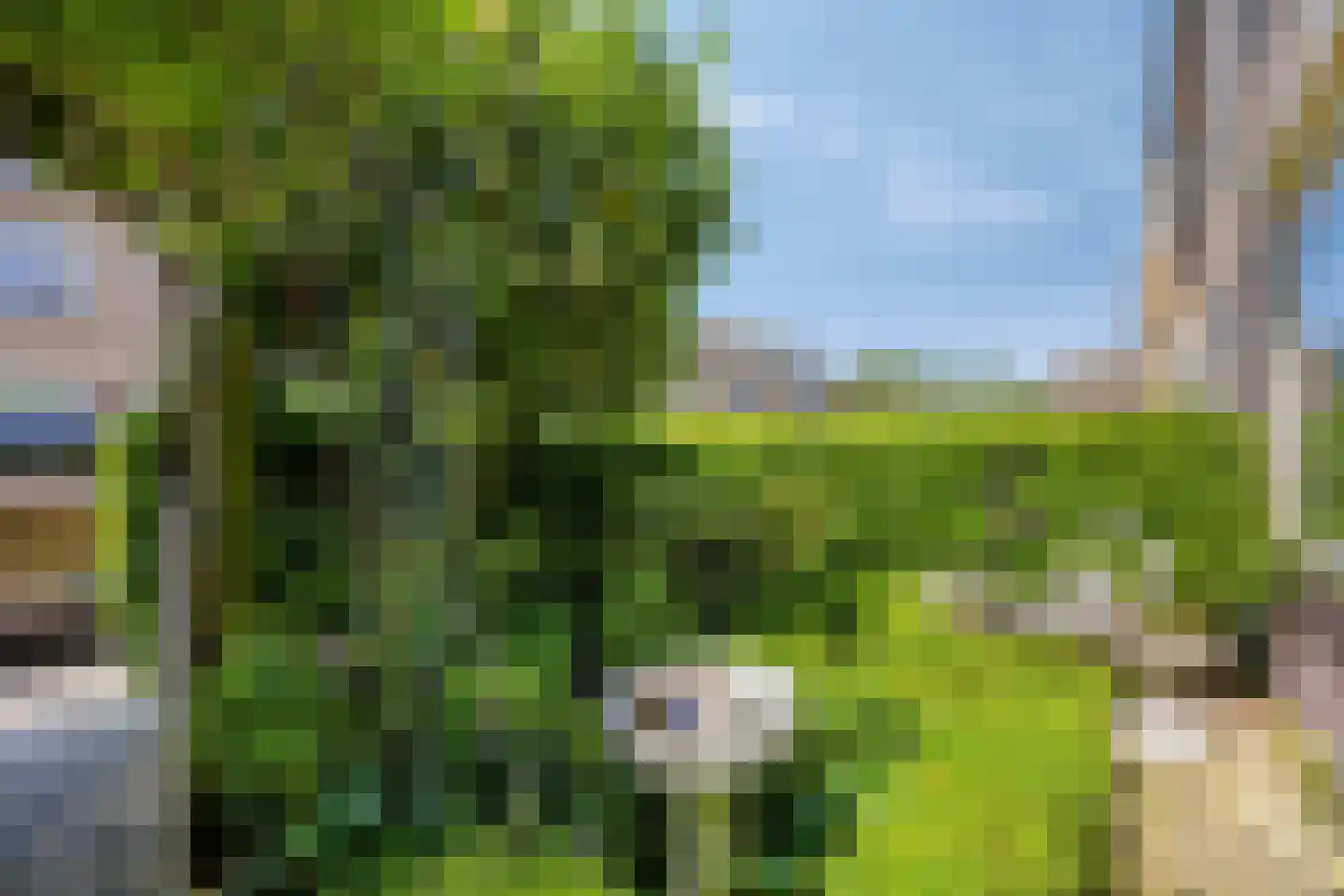 Waterlelielaan 4 Rijnsaterwoude thumbnail 30