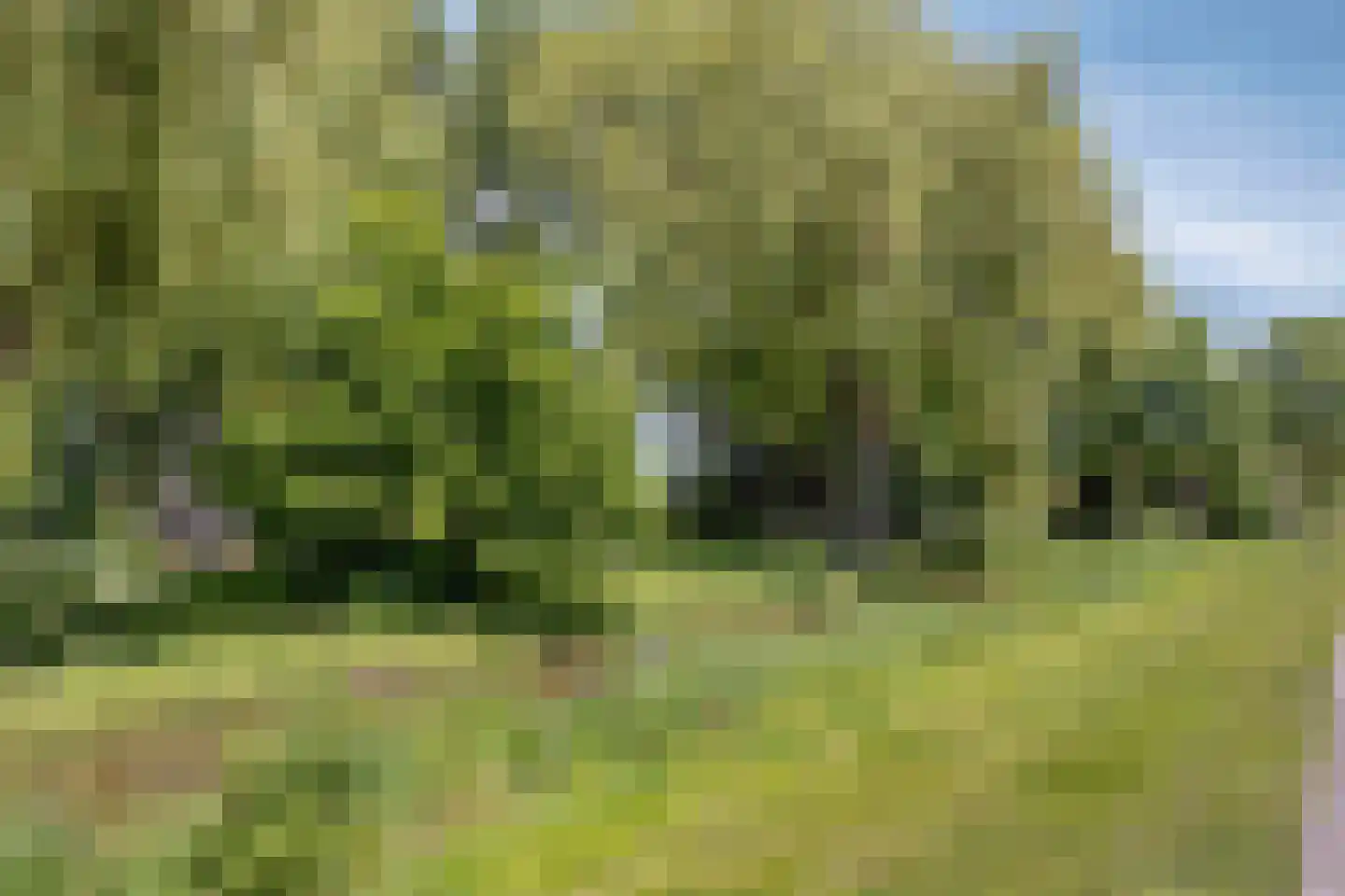 Waterlelielaan 4 Rijnsaterwoude thumbnail 31