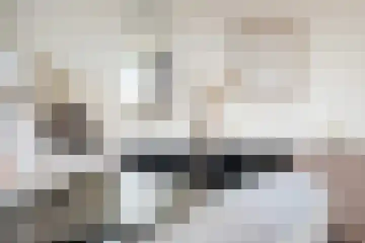 Waterlelielaan 91 Arnhem thumbnail 22