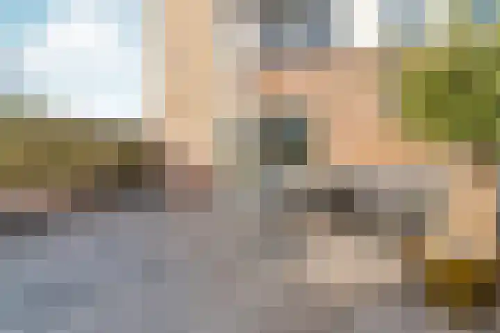 Waterlelielaan 91 Arnhem thumbnail 41