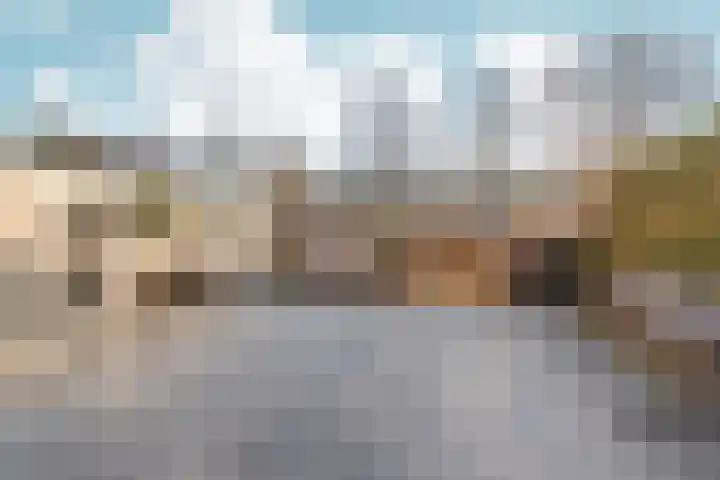 Waterlelielaan 91 Arnhem thumbnail 43