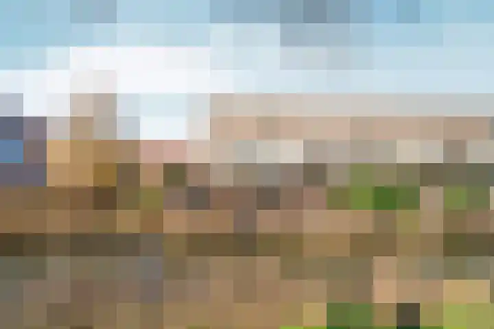 Waterlelielaan 91 Arnhem thumbnail 48