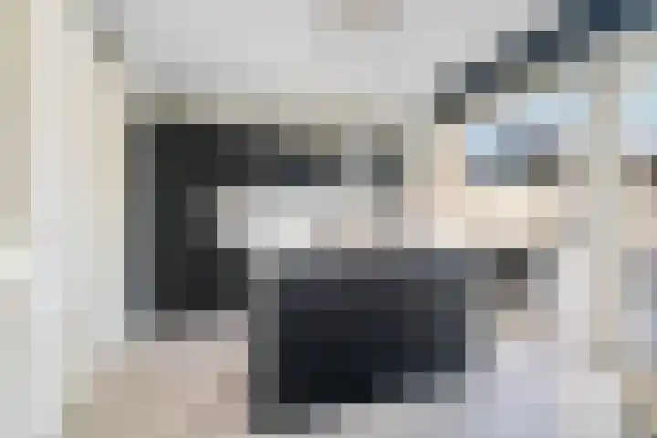 Waterlelielaan 91 Arnhem thumbnail 5
