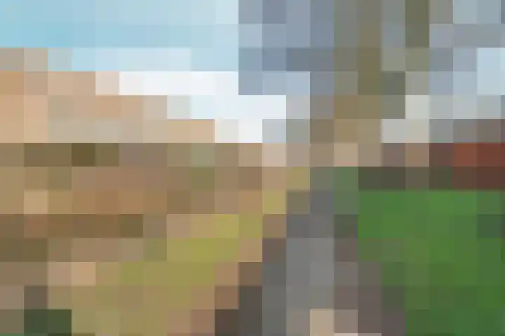 Waterlelielaan 91 Arnhem thumbnail 50