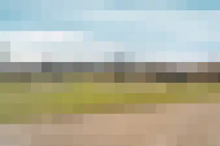 Waterlelielaan 91 Arnhem thumbnail 51