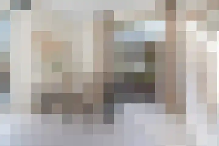 Waterlelielaan 91 Arnhem thumbnail 9