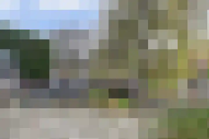 Waterlelielaan 93 Arnhem thumbnail 53