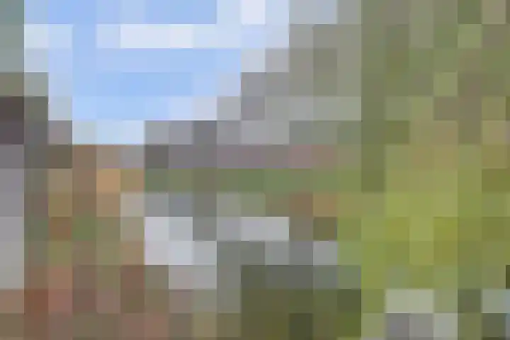Waterlelielaan 93 Arnhem thumbnail 55
