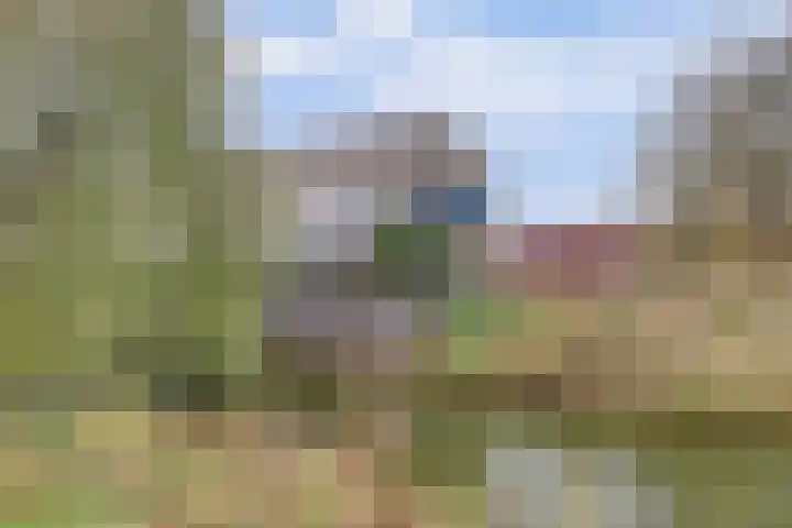 Waterlelielaan 93 Arnhem thumbnail 56