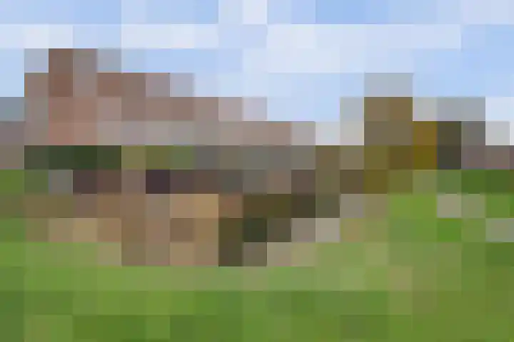 Waterlelielaan 93 Arnhem thumbnail 59
