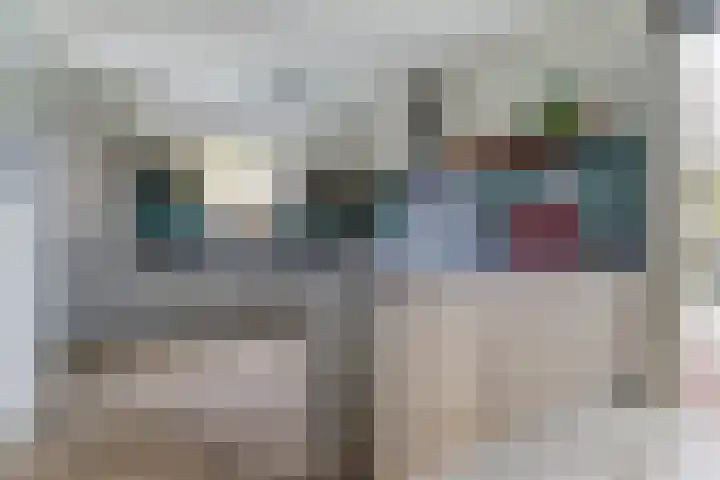 Waterlelielaan 93 Arnhem thumbnail 9
