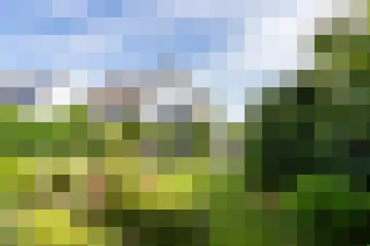 Waterleliesingel 15 Helmond thumbnail 27