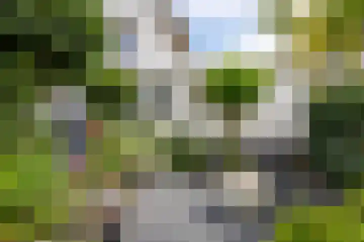Waterleliesingel 15 Helmond thumbnail 30