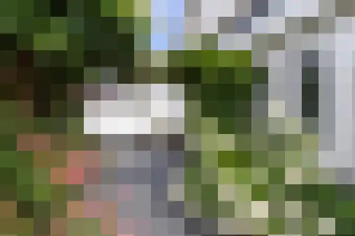 Waterleliesingel 15 Helmond thumbnail 31