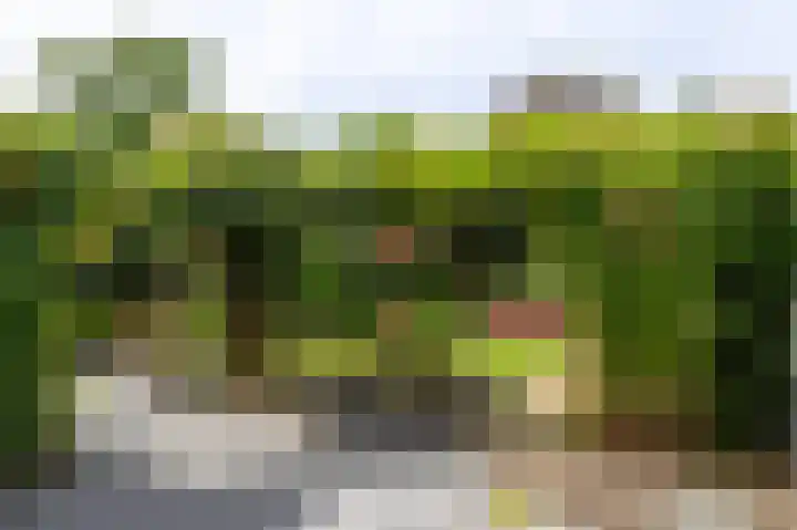 Waterleliesingel 15 Helmond thumbnail 32