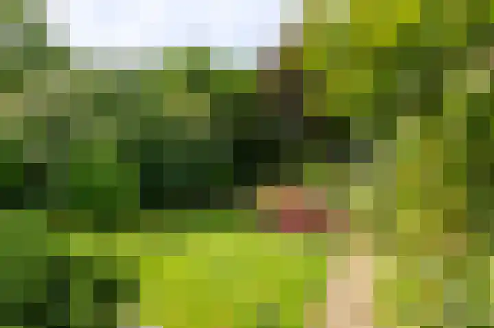 Waterleliesingel 15 Helmond thumbnail 33