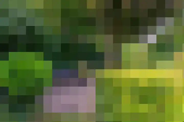 Waterleliesingel 15 Helmond thumbnail 35