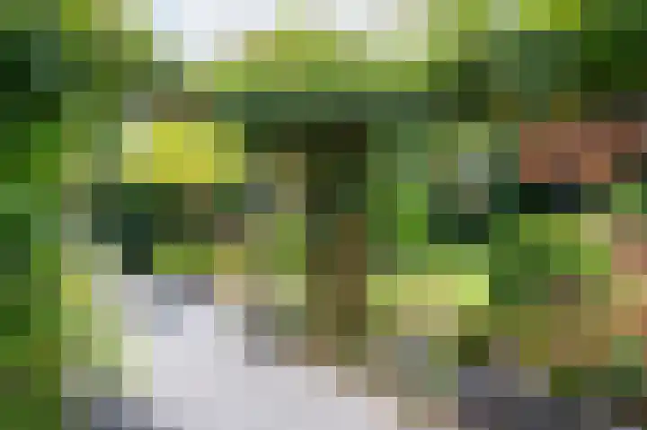 Waterleliesingel 15 Helmond thumbnail 36