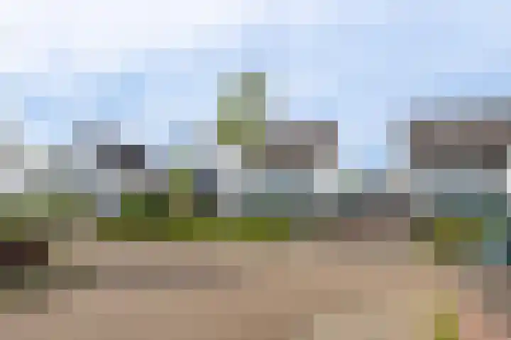 Waterleliesingel 15 Helmond thumbnail 38