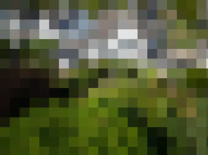 Waterleliesingel 15 Helmond thumbnail 40