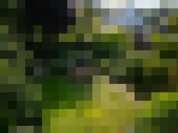 Waterleliesingel 15 Helmond thumbnail 41