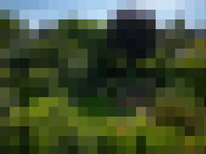 Waterleliesingel 15 Helmond thumbnail 42