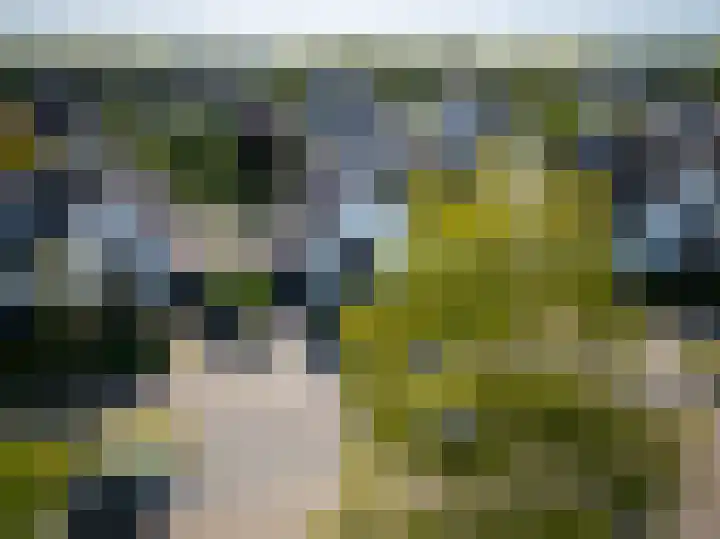 Waterleliesingel 15 Helmond thumbnail 43