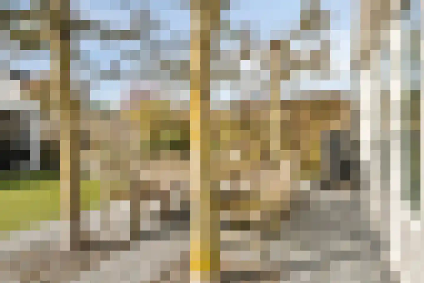 Waterleliesingel 19 Helmond thumbnail 36