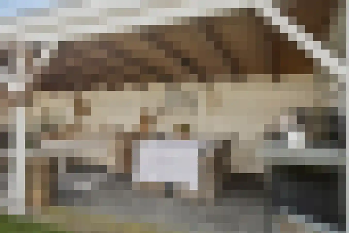 Waterleliesingel 19 Helmond thumbnail 39
