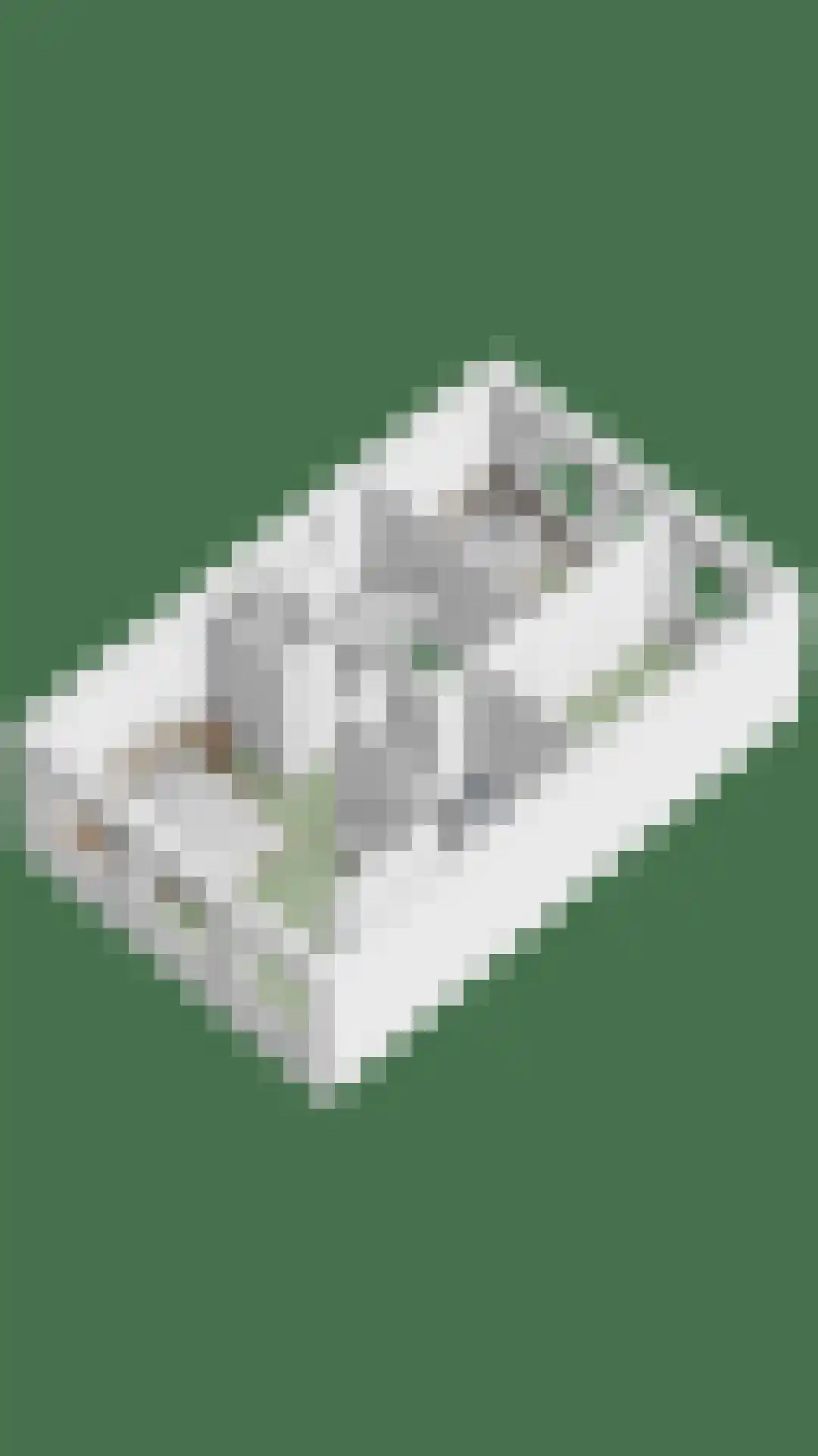 Waterleliesingel 19 Helmond thumbnail 53