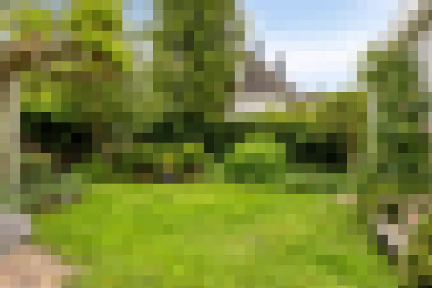 Waterleliesingel 29 Helmond thumbnail 41