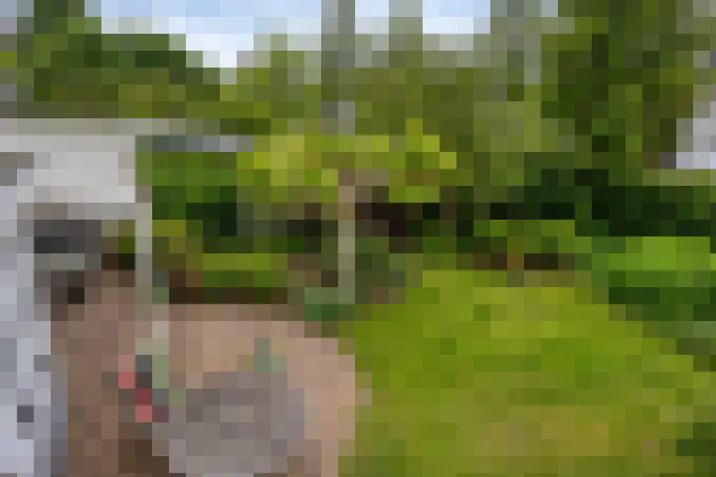 Waterleliesingel 29 Helmond thumbnail 44