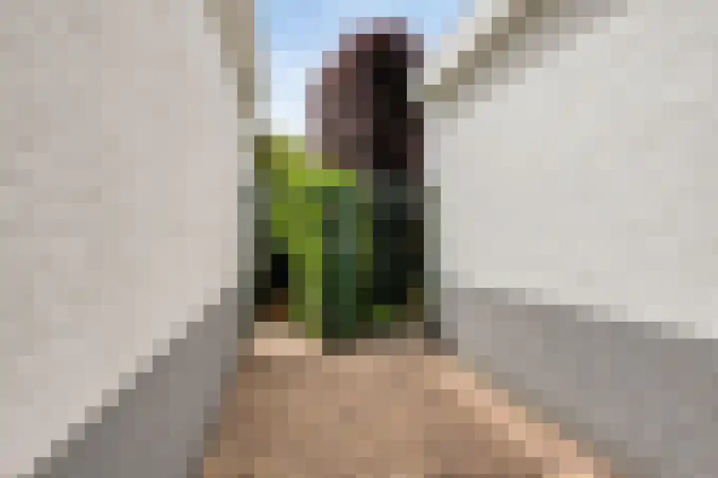 Waterleliesingel 29 Helmond thumbnail 9