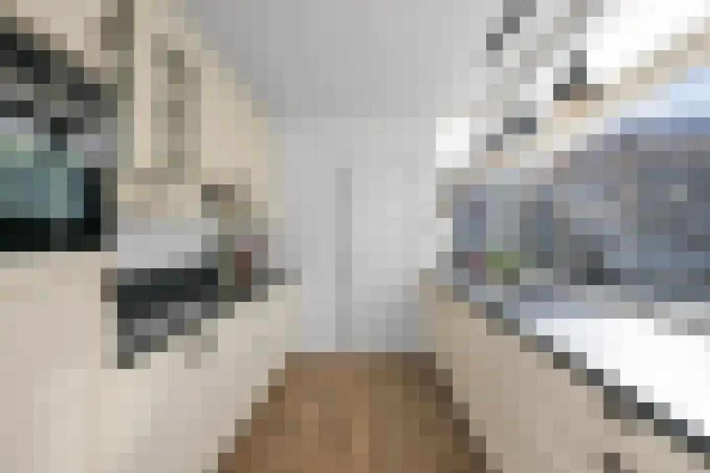 Waterleliestraat 2 Nieuwkoop thumbnail 10