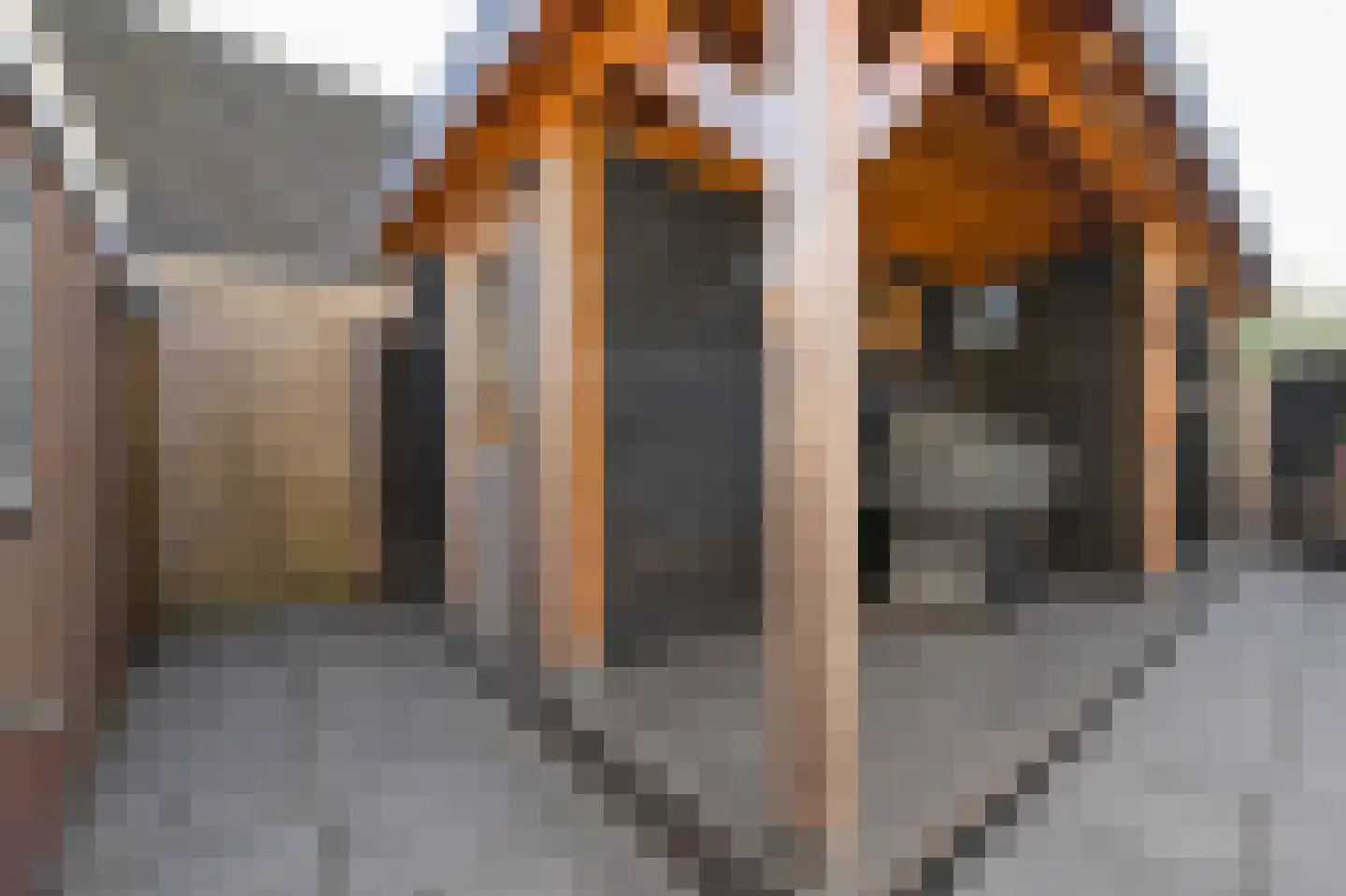 Waterleliestraat 2 Nieuwkoop thumbnail 35