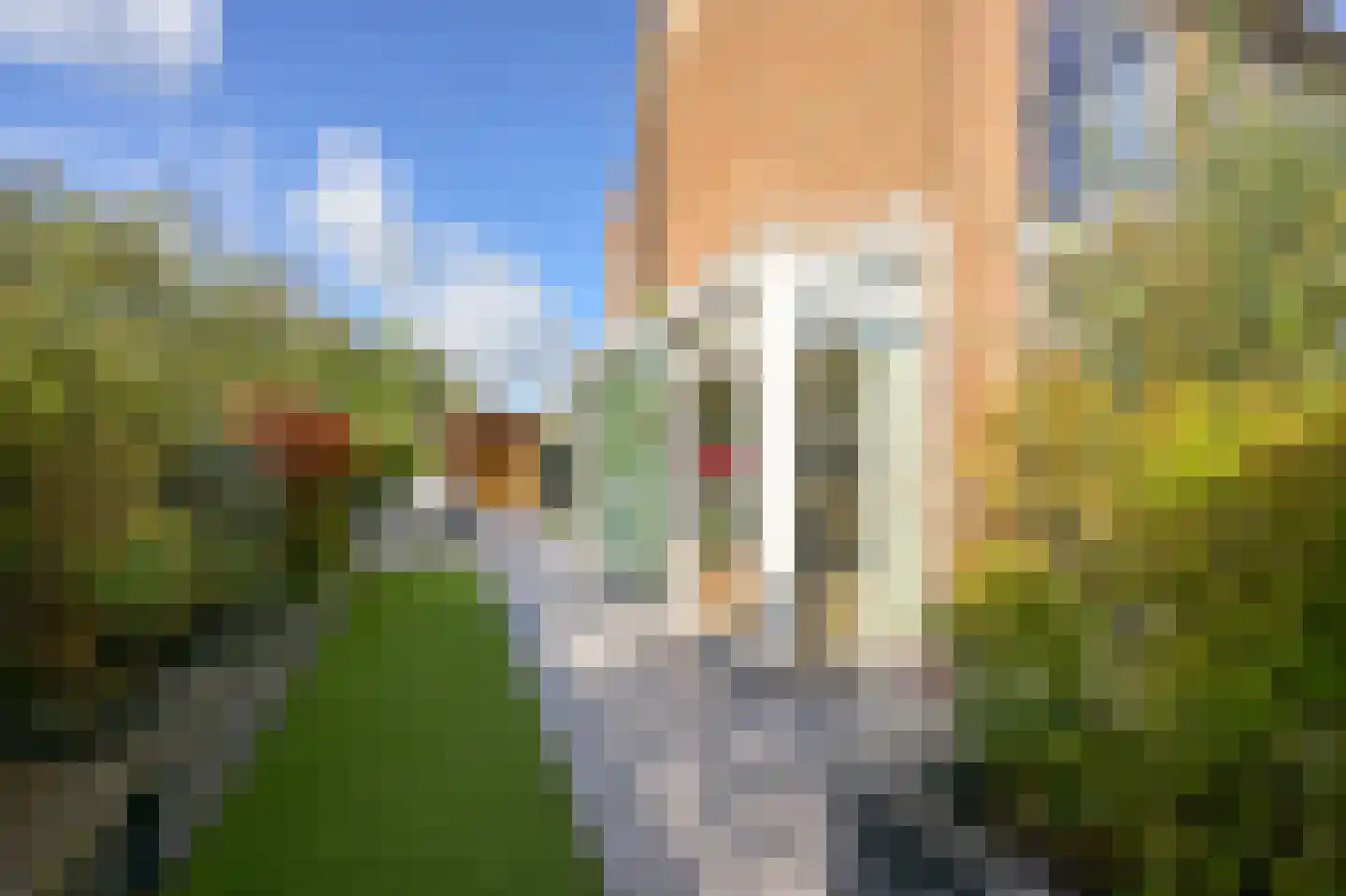Waterleliestraat 2 Nieuwkoop thumbnail 39
