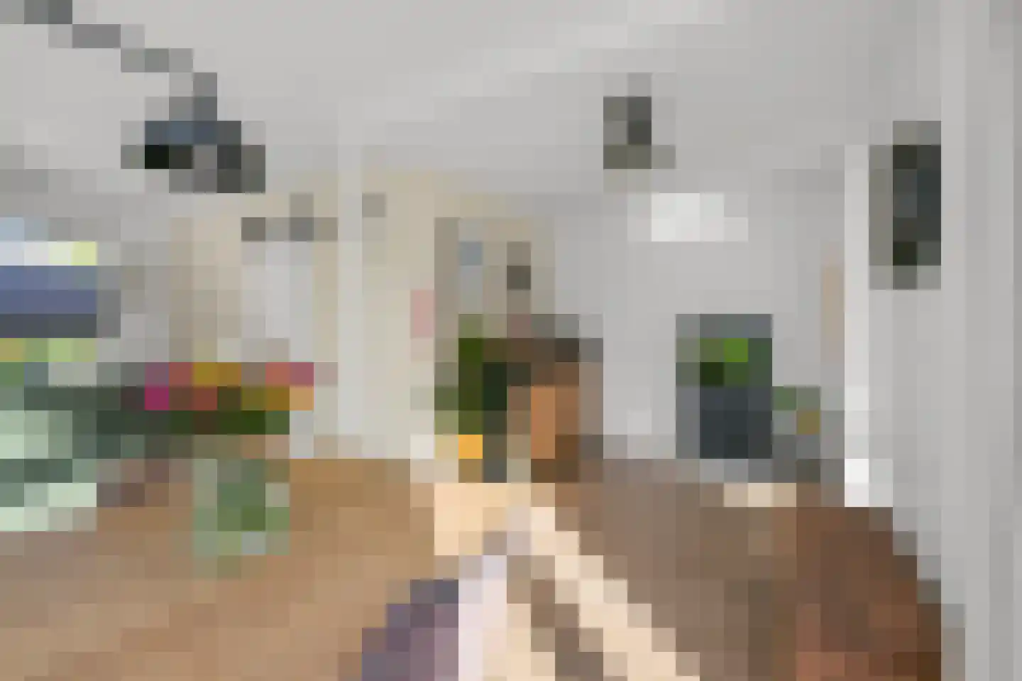 Waterleliestraat 2 Nieuwkoop thumbnail 6