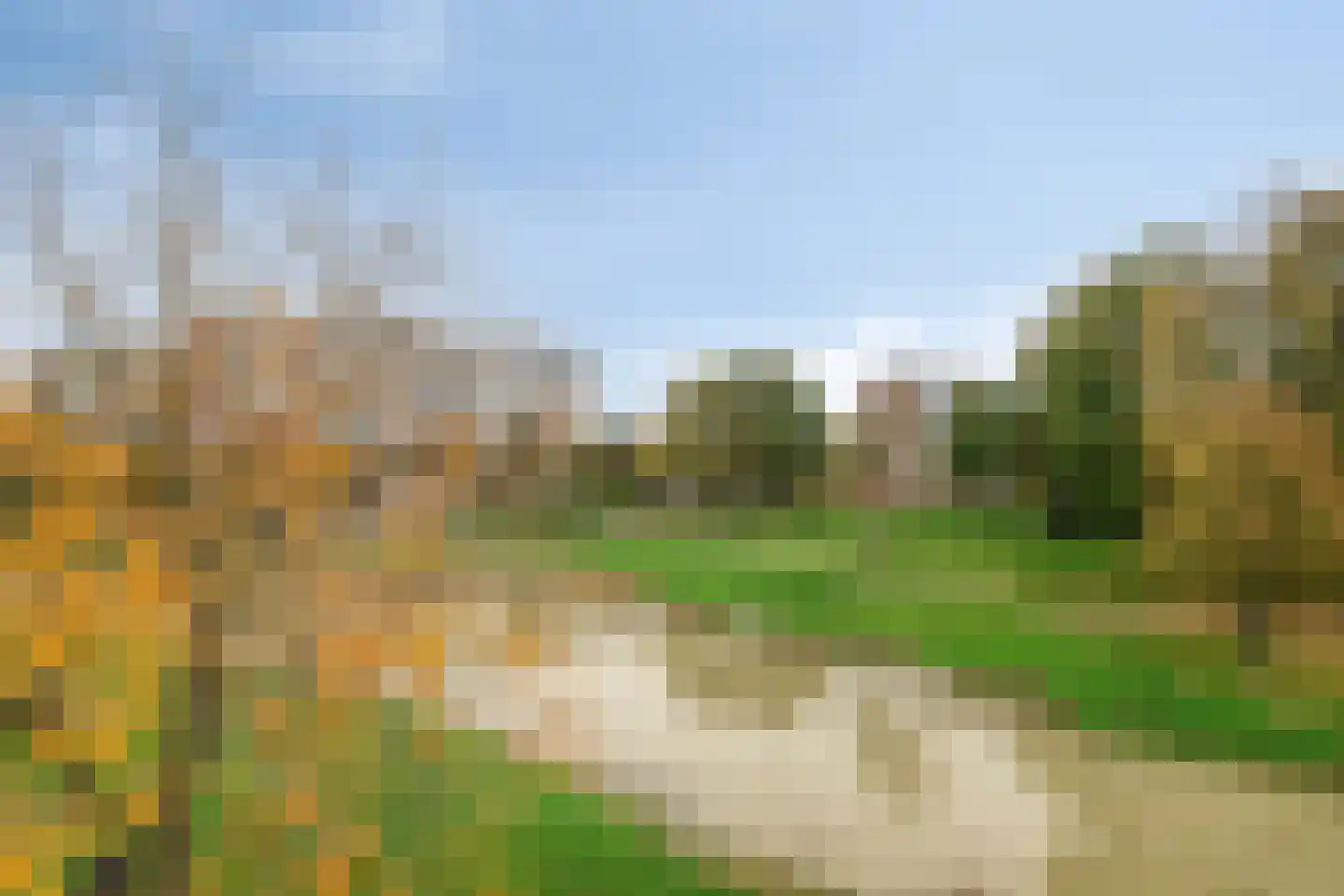 Waterleliestraat 60 Bergen op Zoom thumbnail 28