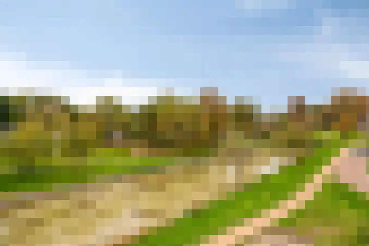 Waterleliestraat 60 Bergen op Zoom thumbnail 5