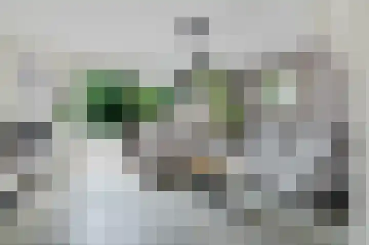 Waterlelieweg 3 Voorhout thumbnail 13