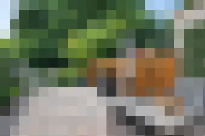 Waterlelieweg 3 Voorhout thumbnail 14