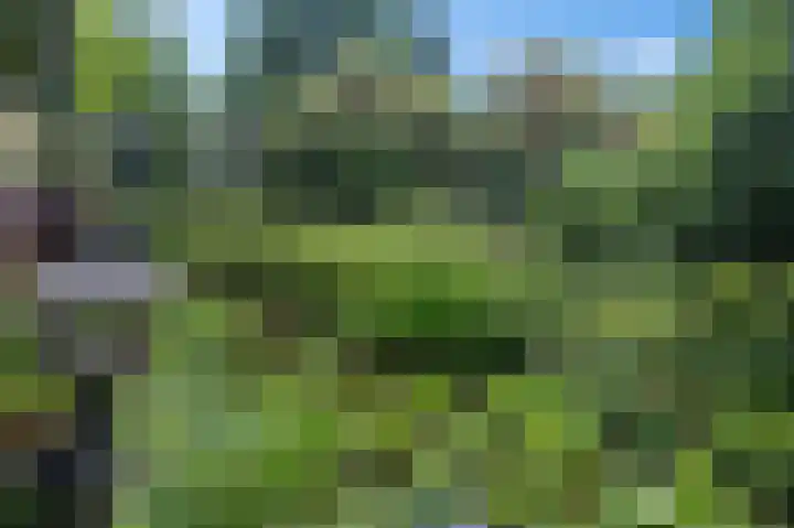 Waterlelieweg 3 Voorhout thumbnail 17