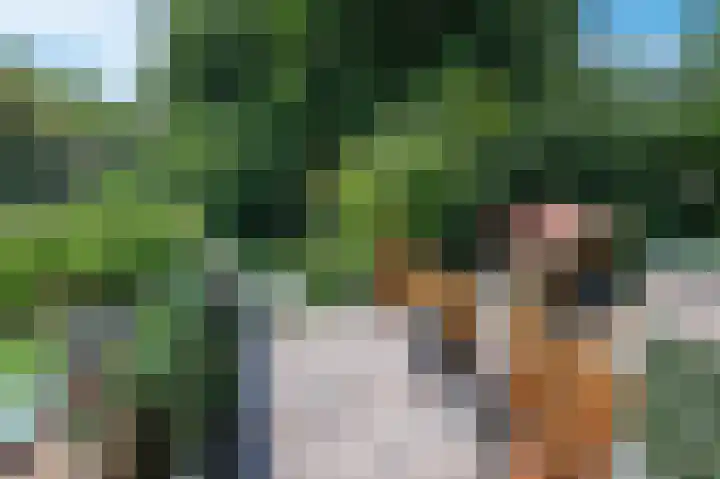 Waterlelieweg 3 Voorhout thumbnail 18