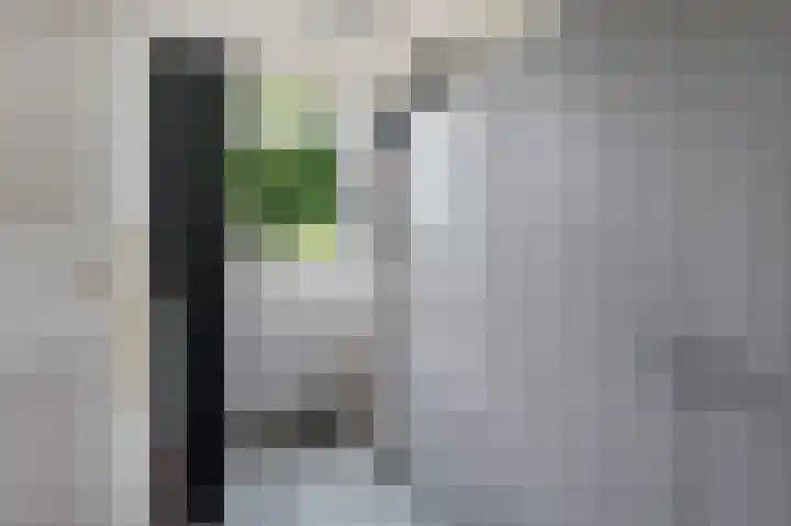 Waterlelieweg 3 Voorhout thumbnail 21