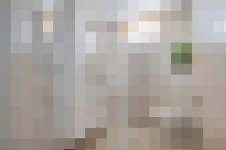 Waterlelieweg 3 Voorhout thumbnail 24