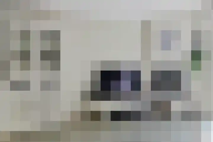 Waterlelieweg 3 Voorhout thumbnail 7