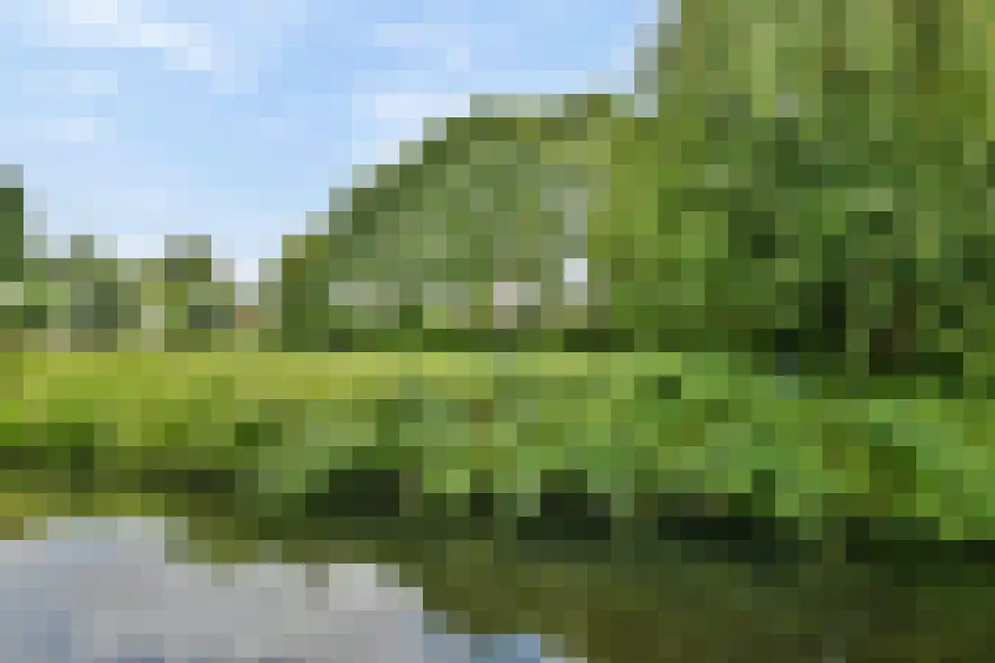 Waterlelieweg 51 Voorhout thumbnail 17