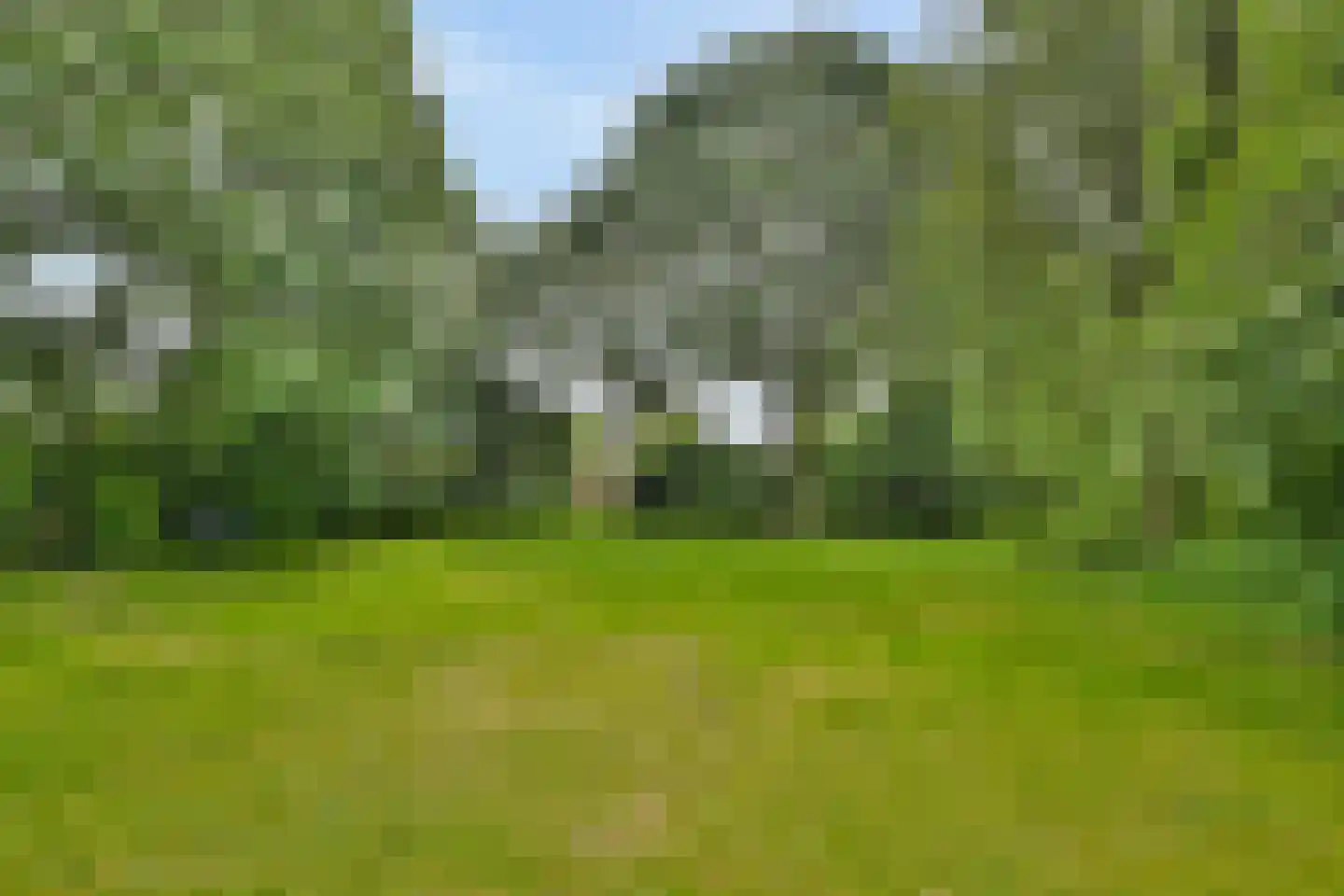 Waterlelieweg 51 Voorhout thumbnail 32