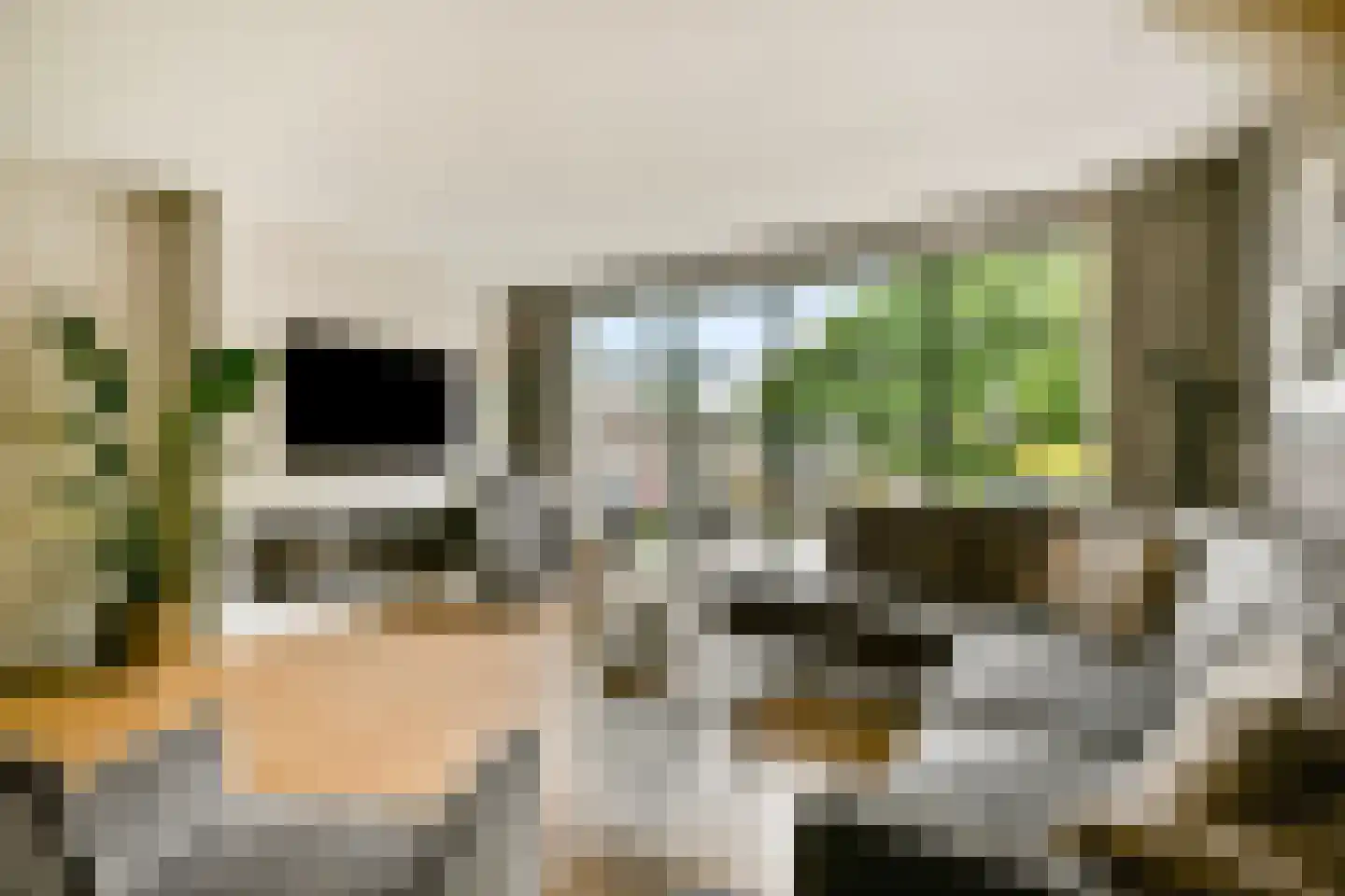 Waterlelieweg 51 Voorhout thumbnail 4