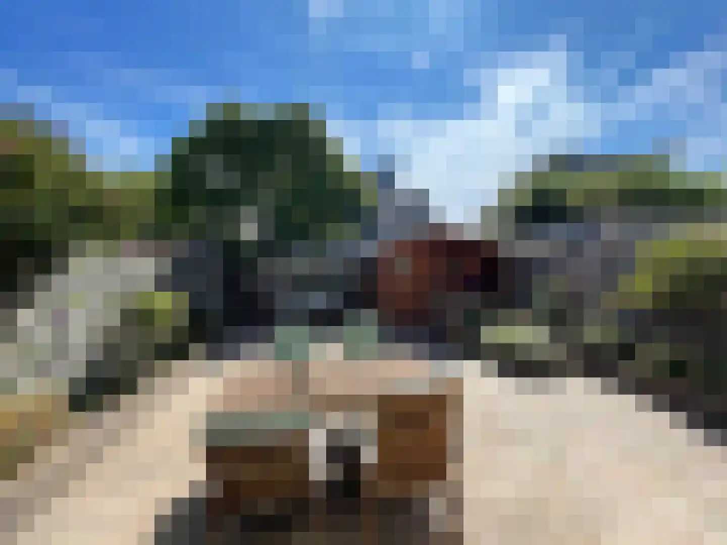 Waterlijn 16 Monster thumbnail 15